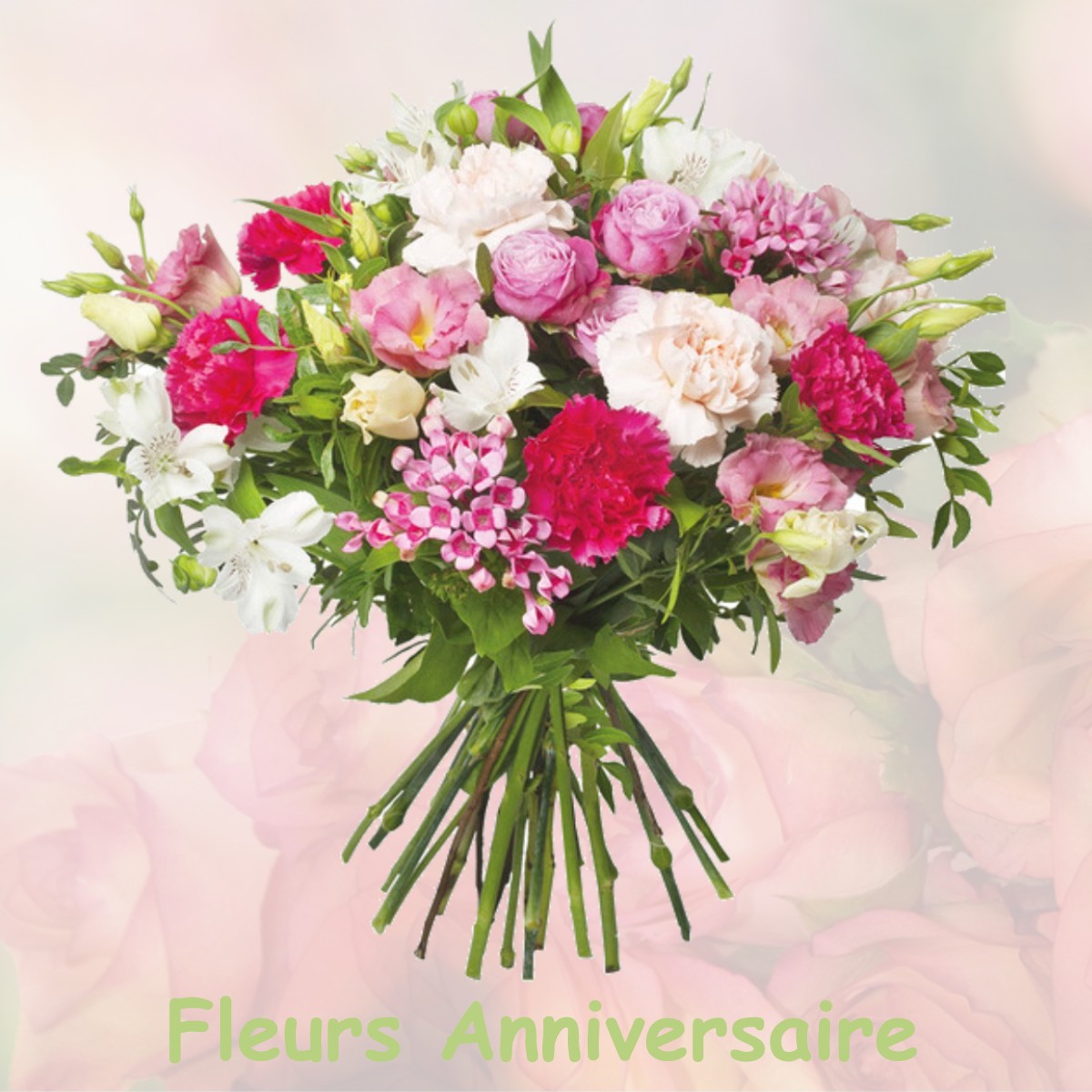 fleurs anniversaire MONTHOU-SUR-CHER
